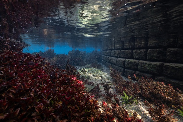 Springs and Streams